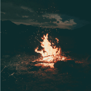 Éjszakai erdőfürdő